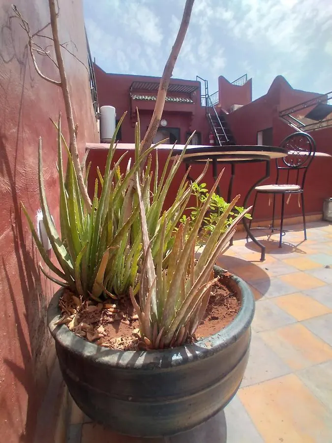 Riad 9 Derb El Bousnne Marrakesz