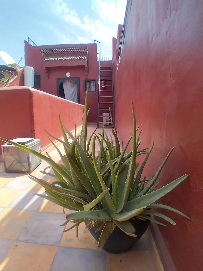 Riad 9 Derb El Bousnne Marrakesh