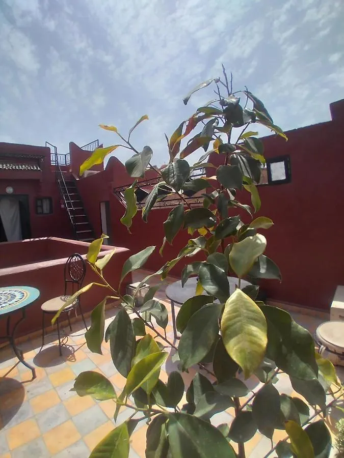 Riad 9 Derb El Bousnne Marrakesz 0*,  Maroko